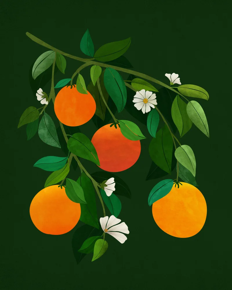 Gallagher, Kristian: Soirée Oranges et Fleurs