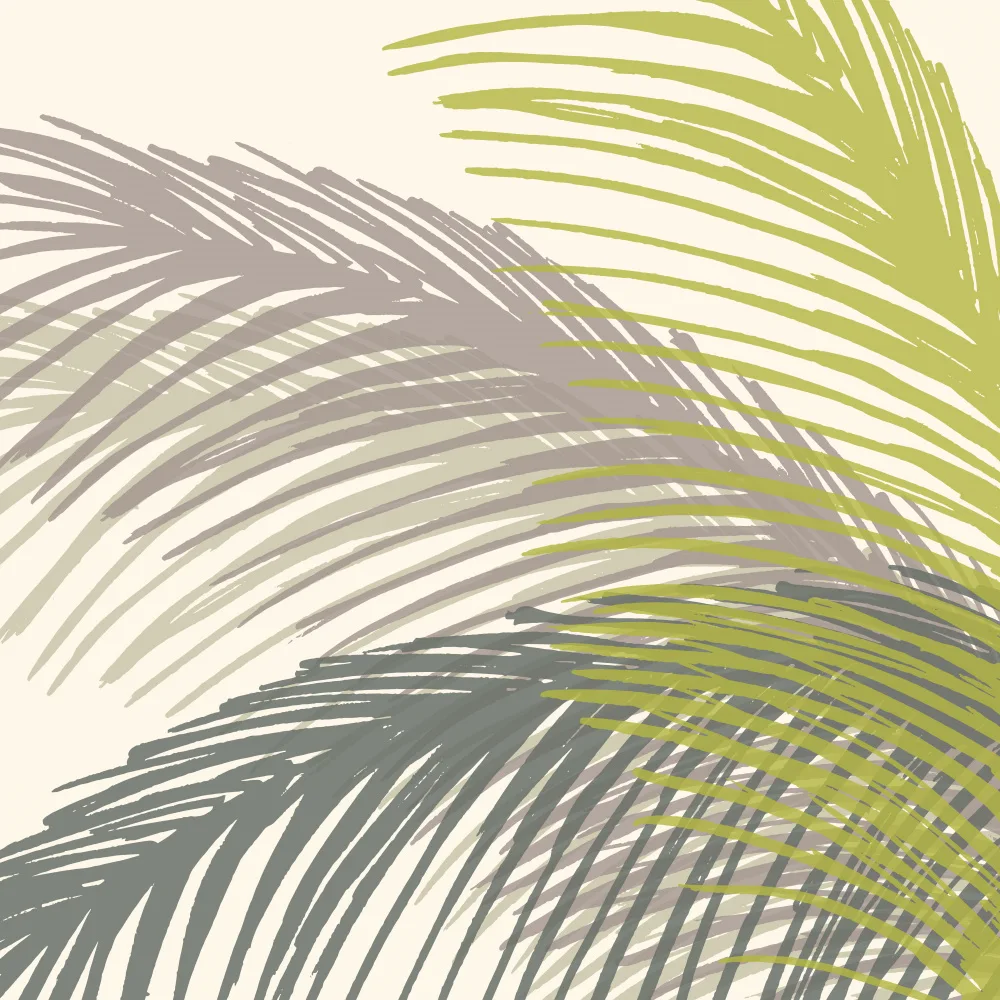 Gallagher, Kristian: Palm Silhouette 4