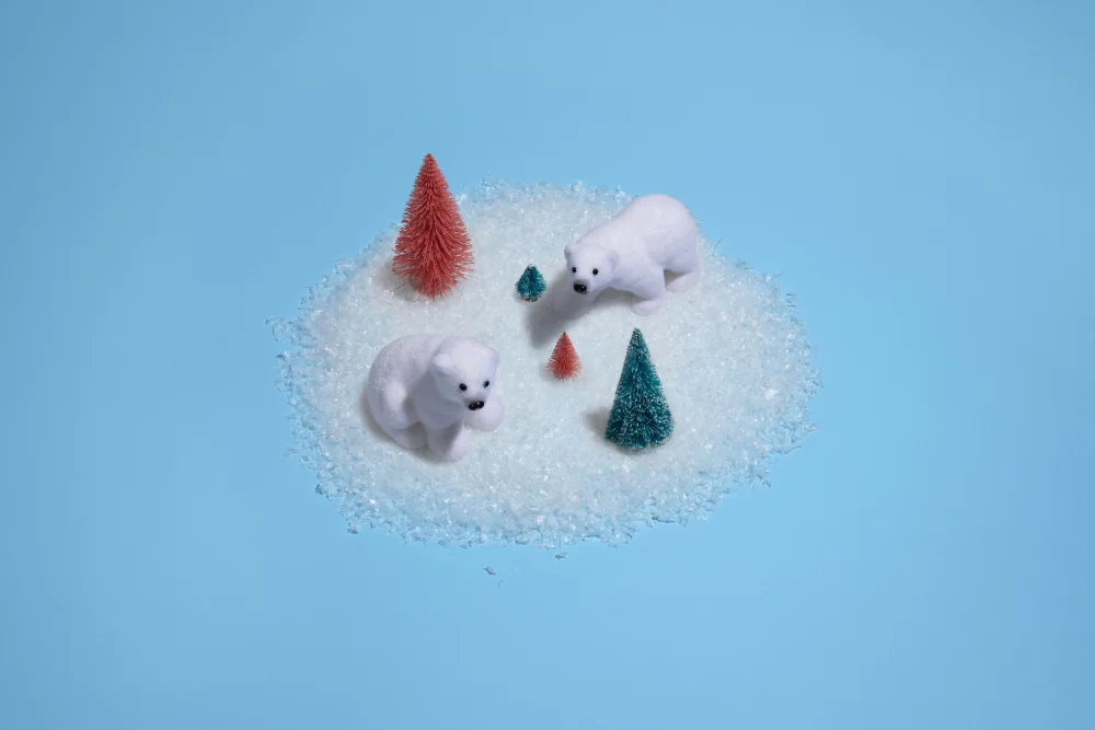 Ramiro, Julia: Tiempo de juego polar