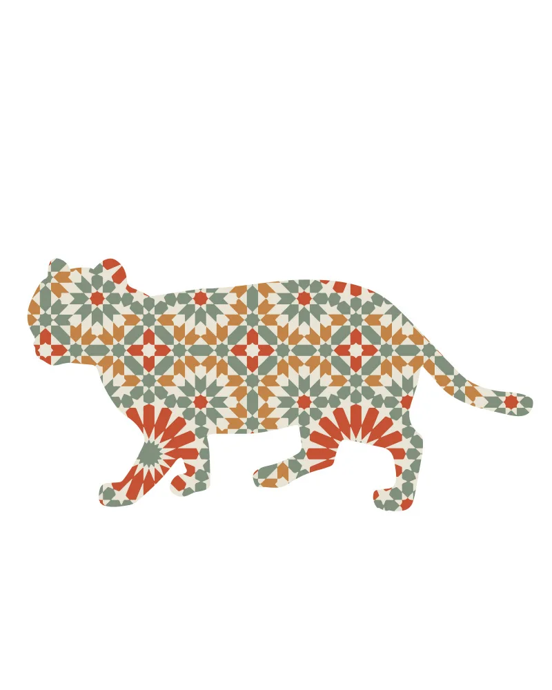Deificus, Emiliano: 1 Tiermuster 45