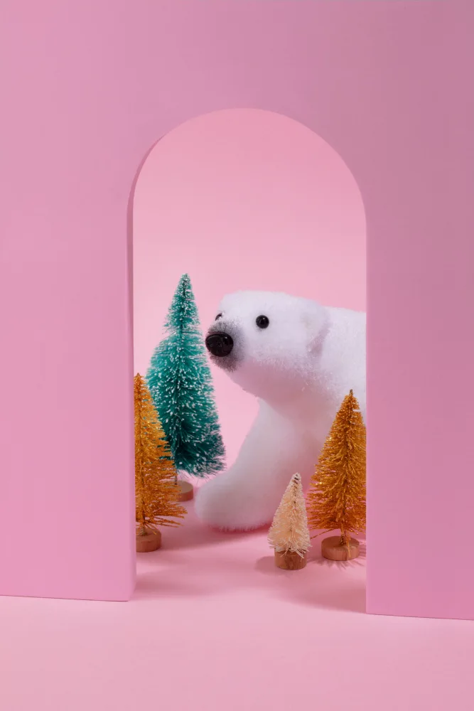 Ramiro, Julia: Arco ártico
