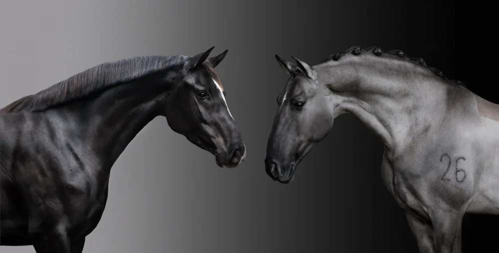 Weerink, Celine: Fifty shades of gray…