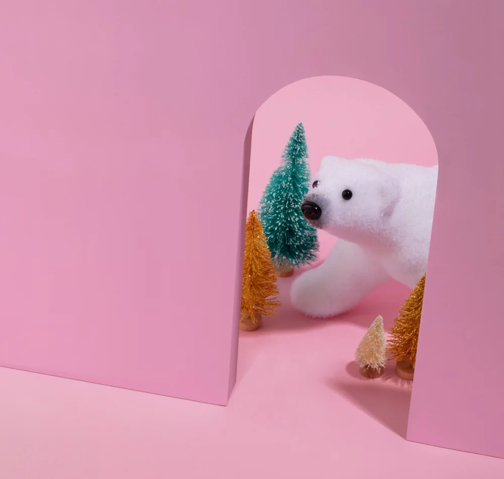Ramiro, Julia: Escondite polar