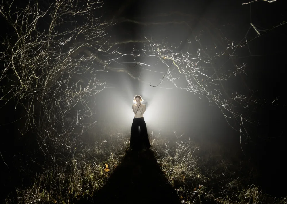 Paradowski, Leszek: November night
