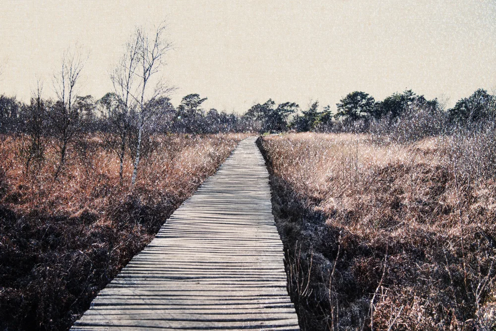 Imaginative: Riserva naturale