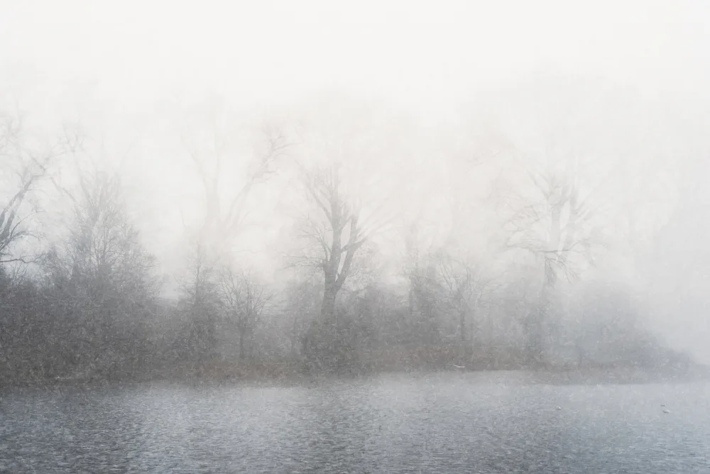 Imaginative: Paesaggio nebbioso