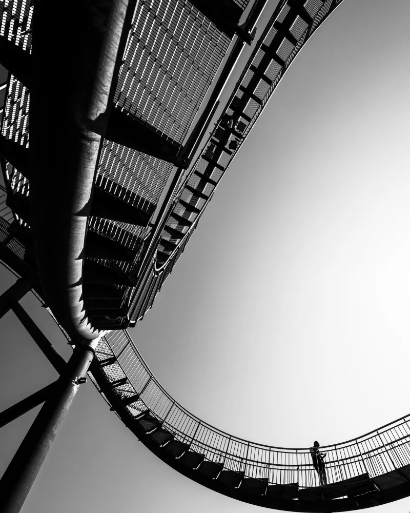 Steenhoudt, Sofie: Una nueva versión de Tiger&Turtle