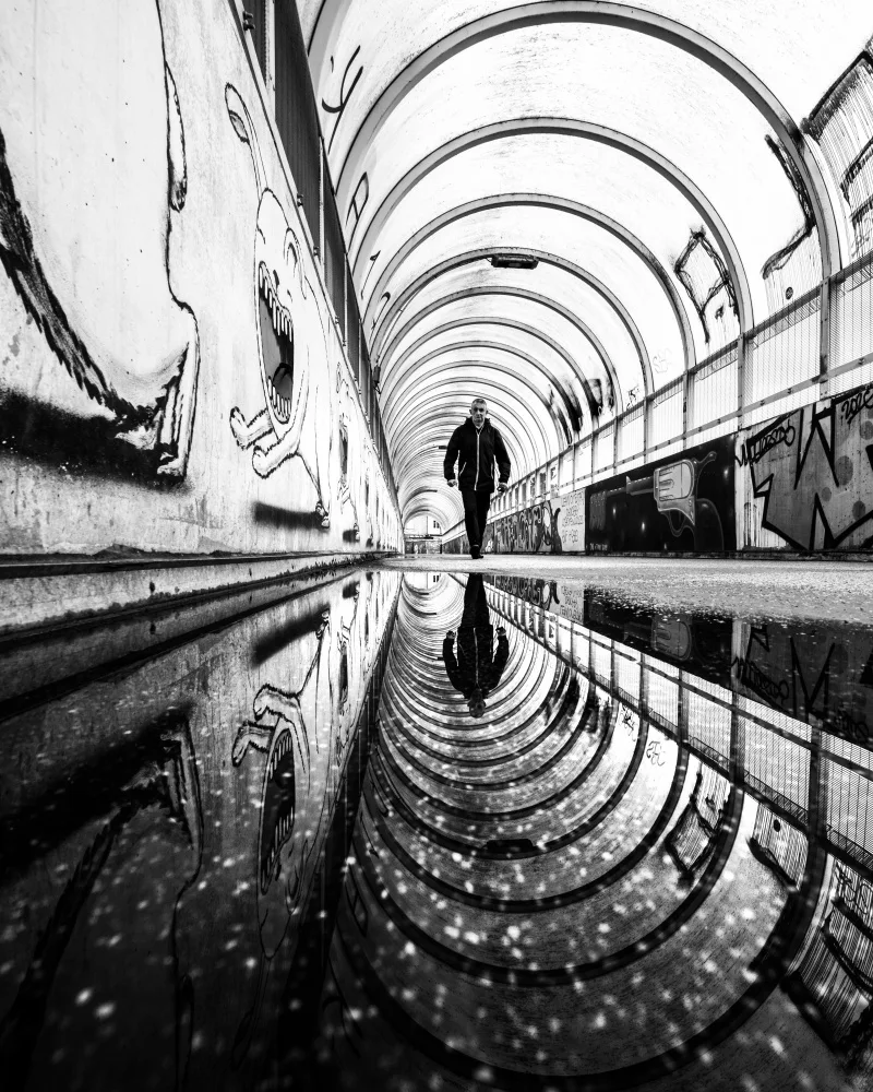 Steenhoudt, Sofie: Reflexión del túnel