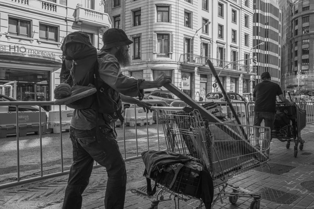 Hartman, Fischer Wendy: Shopping Carts