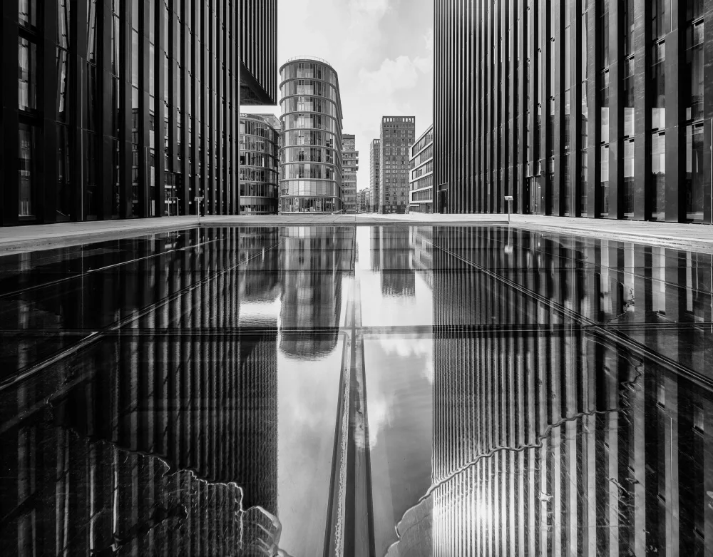 Vandijck, Jean: Frozen reflection