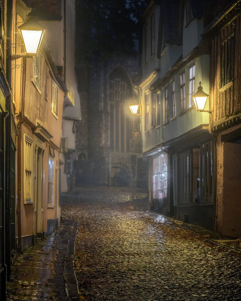 Wilson, Francis: Pesadilla en Elm Hill