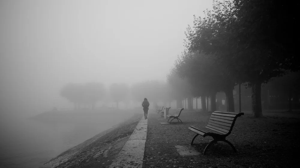 Roeseler, Magdalena: foggy lake
