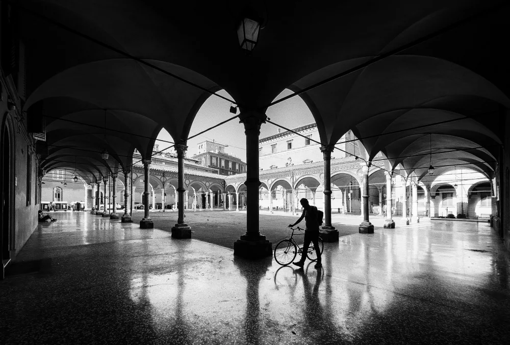 Dauria, Adam: Bologna 2023-07