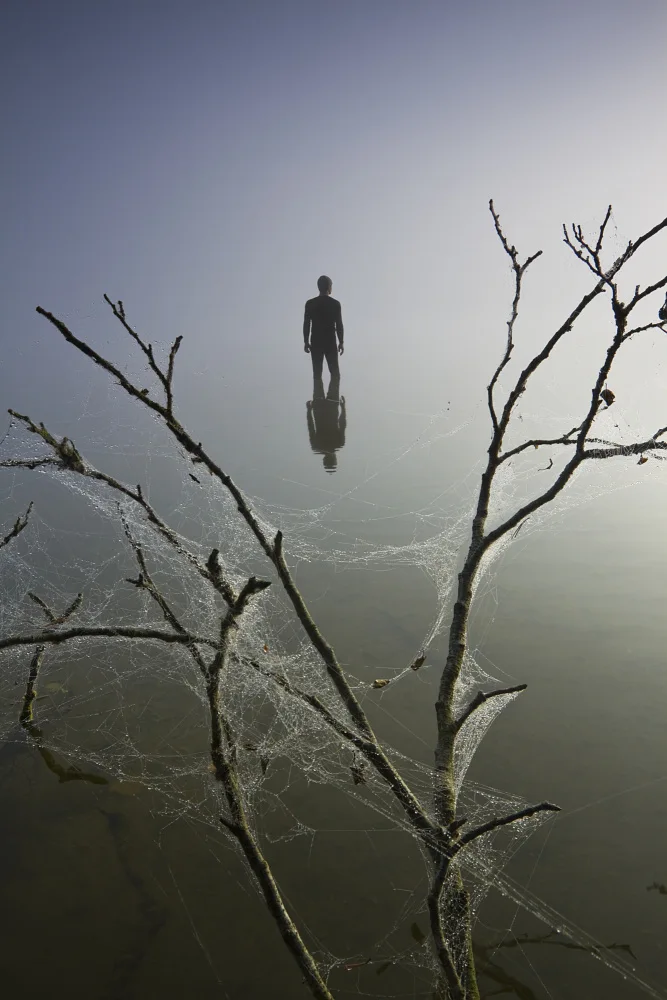 Paradowski, Leszek: Cobwebs of the senses