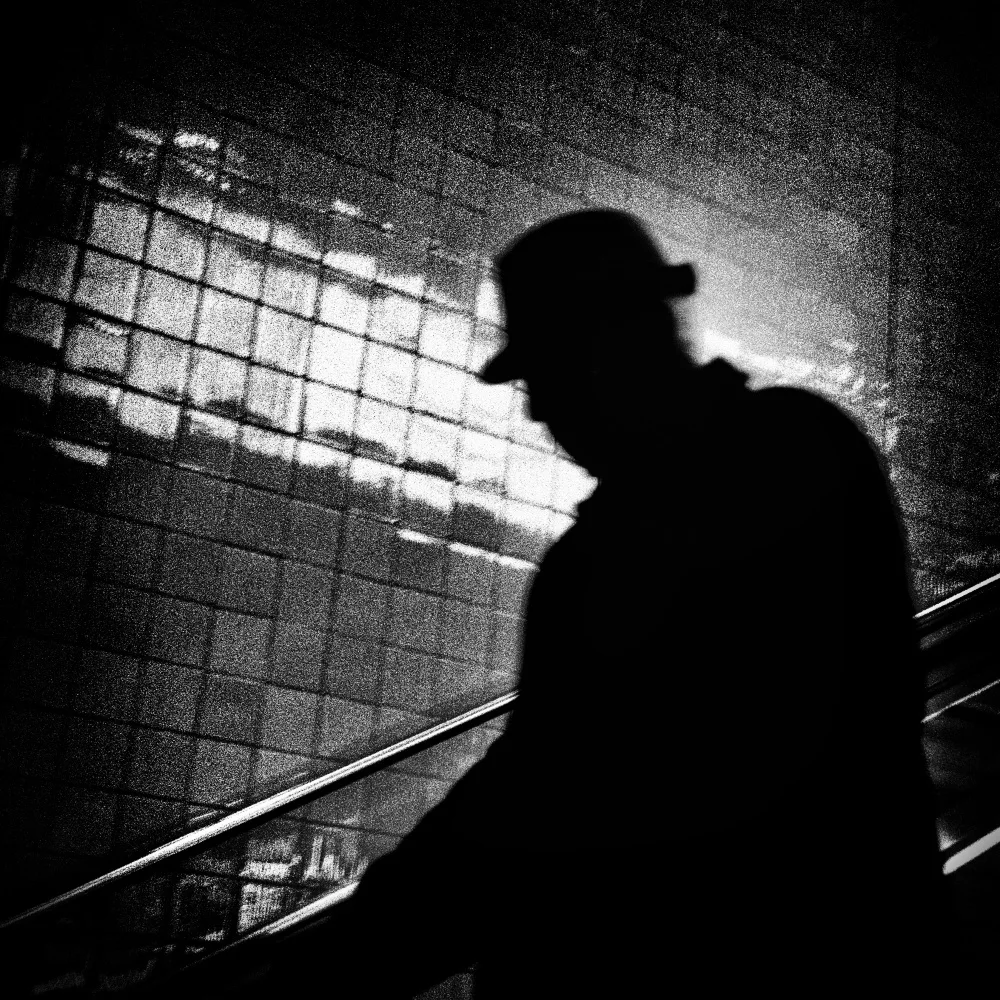 Abrantes, Paulo: Monsieur X