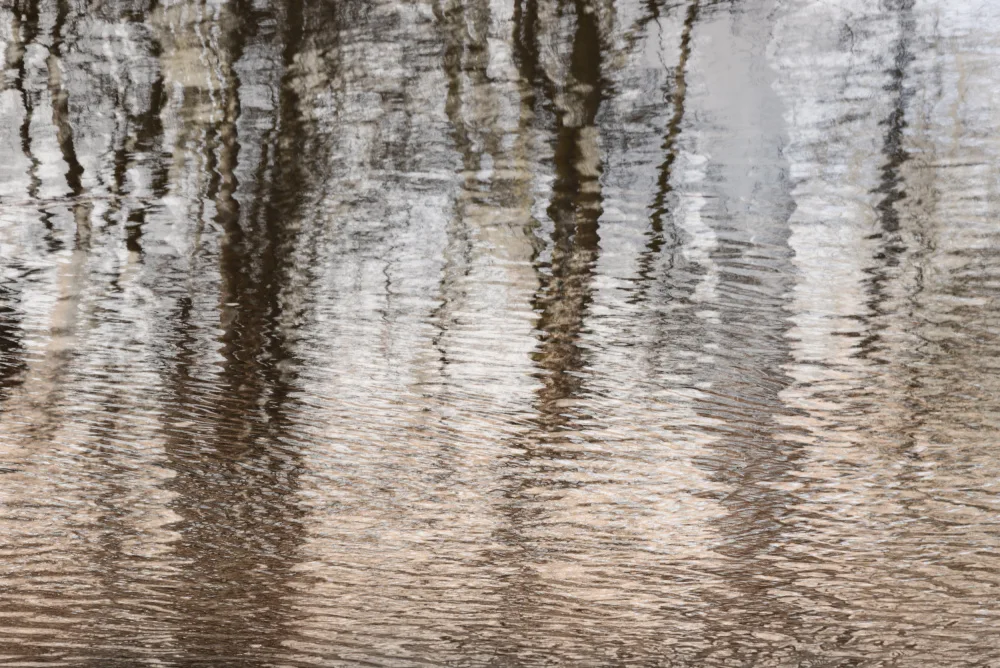 Imaginative: Reflections in the water