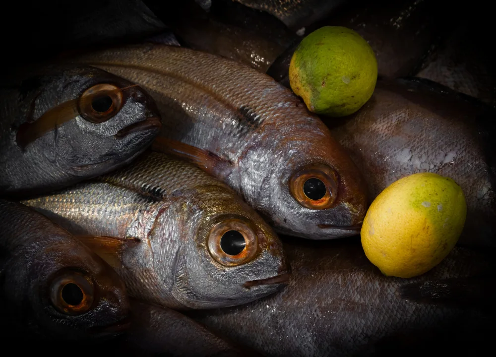 Ozola, Ilze: peces