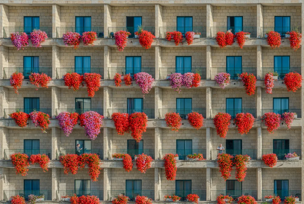 Prybinski, Miroslaw: flores de balcon