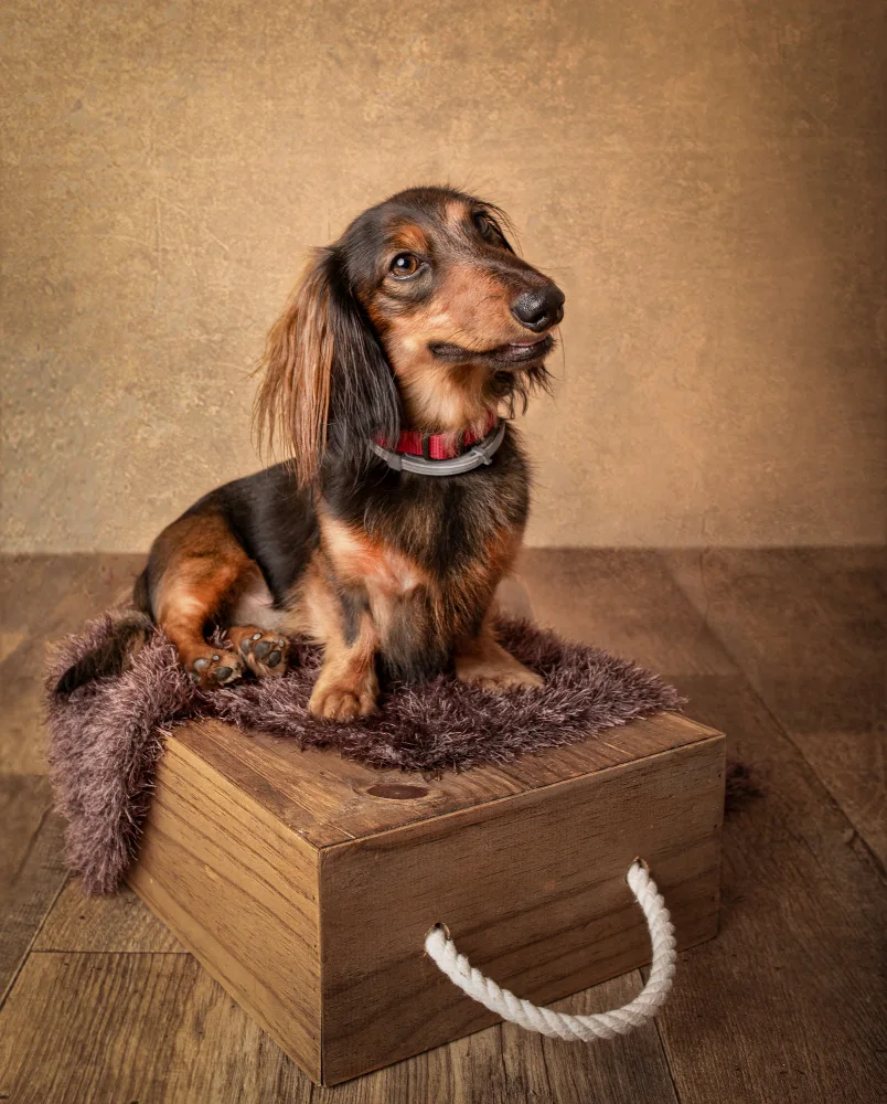 Perfoncio, Margareth: Haku the Model