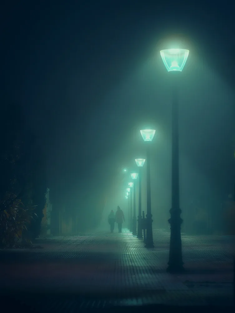 Martínez, Hernández Carlos: En la niebla