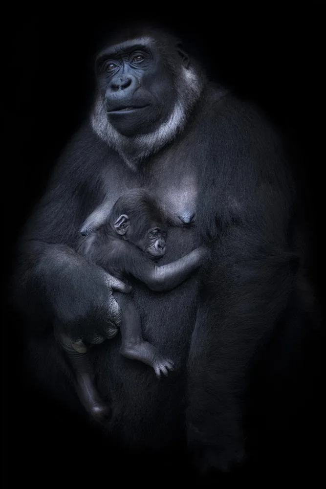 Ruiz, Saavedra Sergio: Portrait of a proud mother.