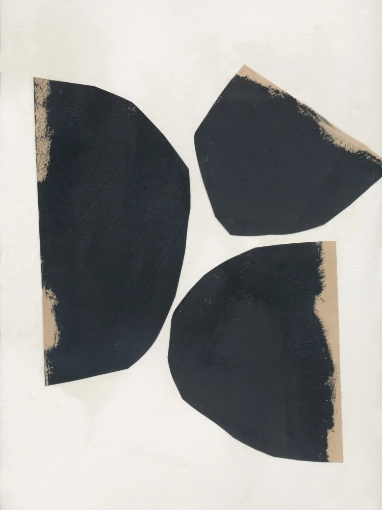 Baker, Bronwyn: Organic Shapes 1