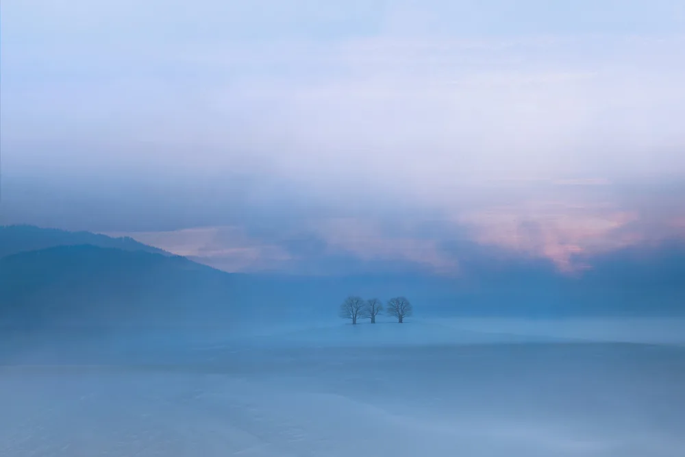 Hermann, Uschi: winter light