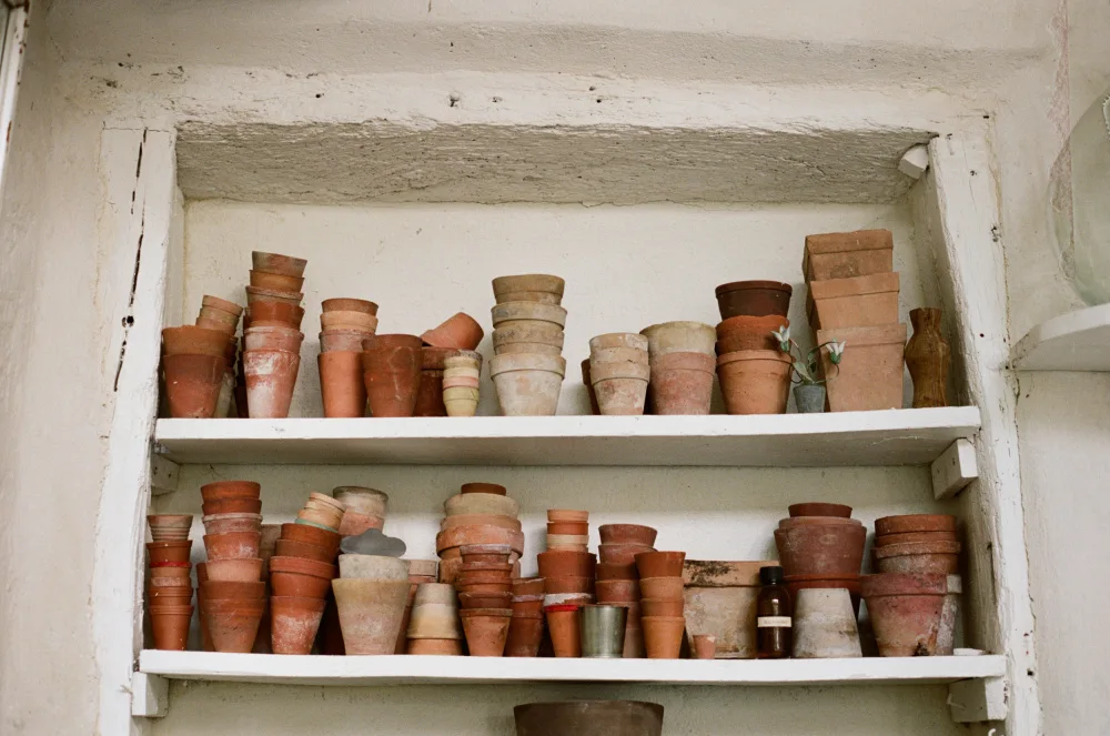 Adams, Pointer Julie: French Pots