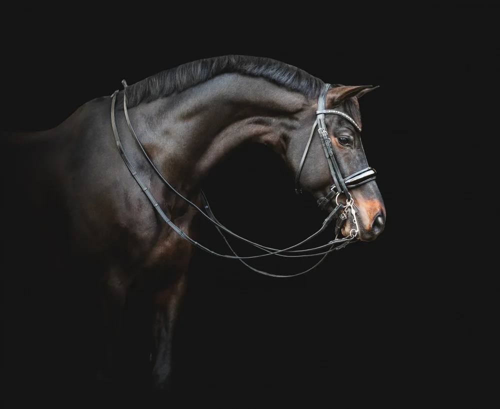Weerink, Celine: Black Magic... #2