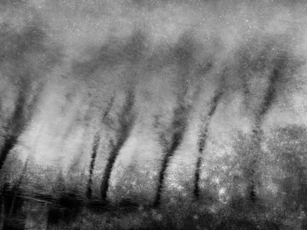 Imaginative: Tanzende Bäume im Wasser