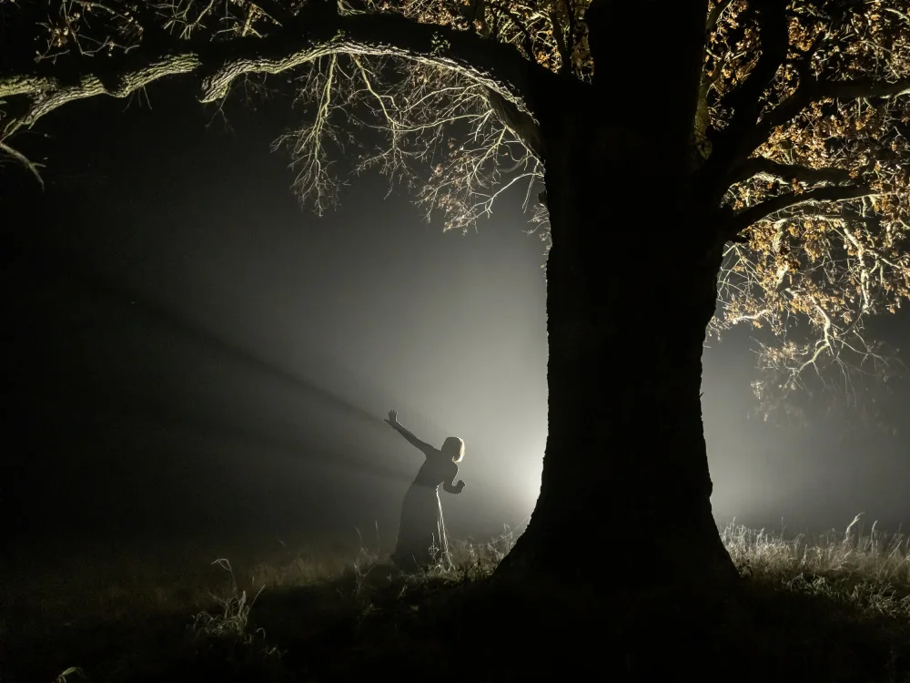 Paradowski, Leszek: Light magic