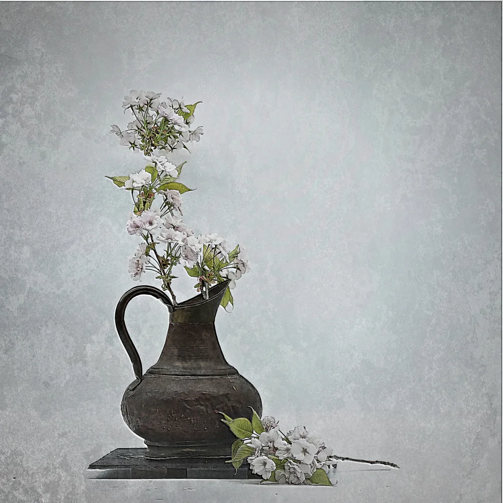Dingemans, Saskia: Frozen in spring .
