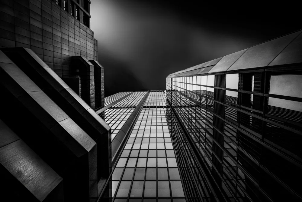 Valckx, Gerard: Look Up