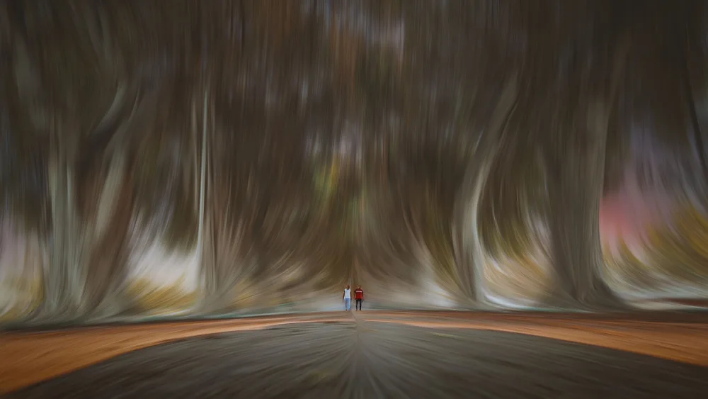 Ragab, Hesham: WALDSPAZIERGANG