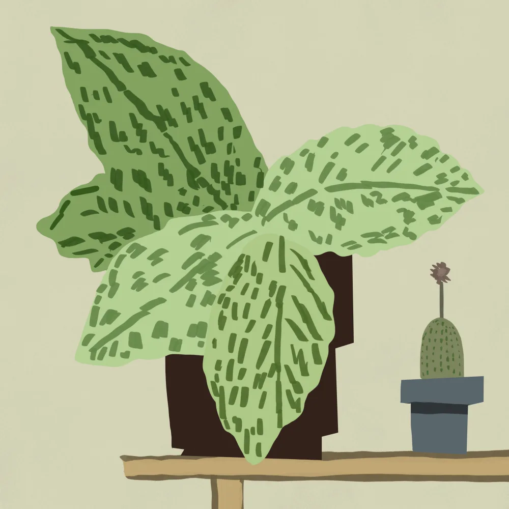 Dean, Little: Big leafy