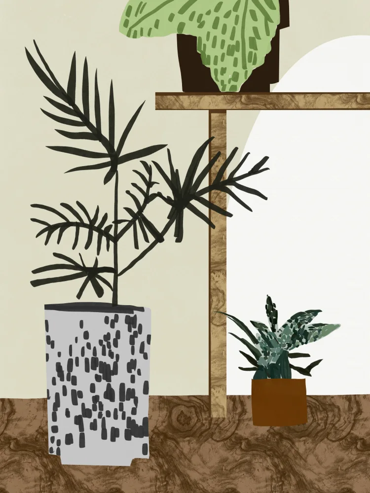 Dean, Little: Pot plant arrangement