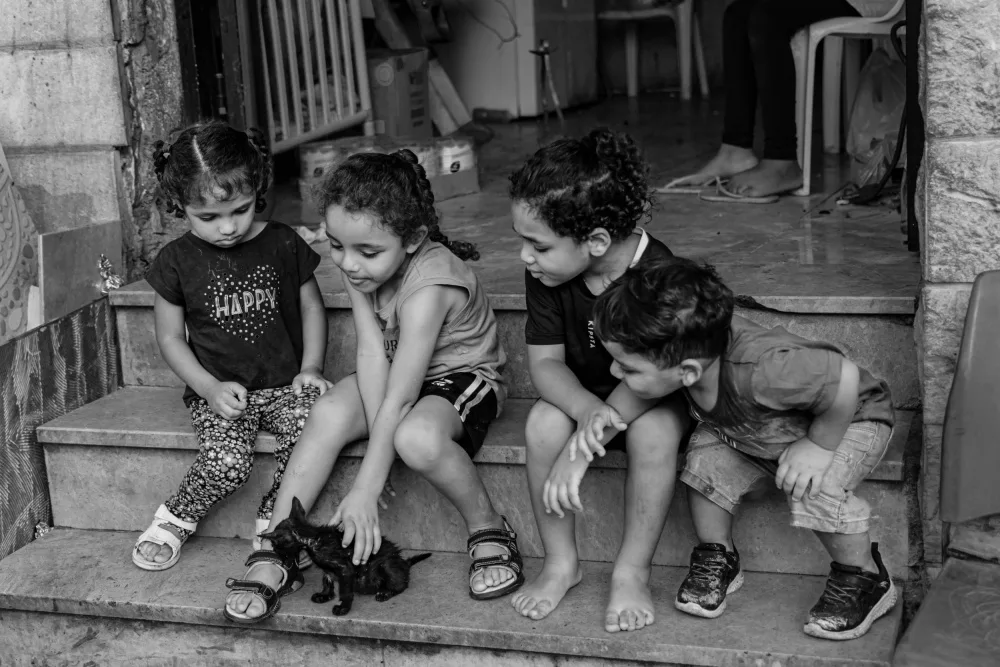 Koller, Gila: Kids and a cat