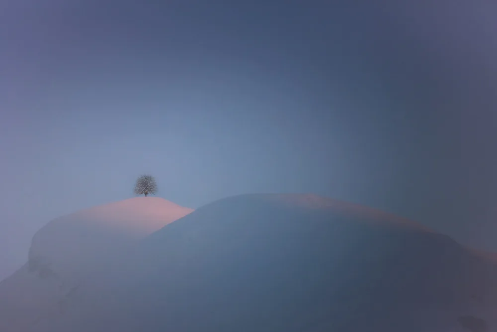 Hermann, Uschi: solitude
