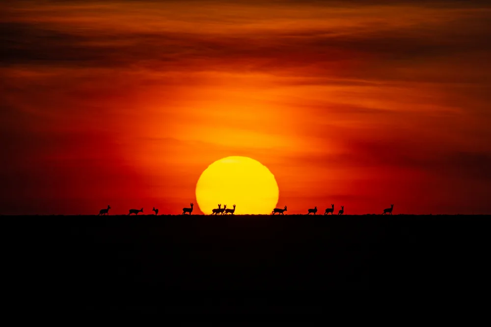 Baltariu, Adrian: Sunset