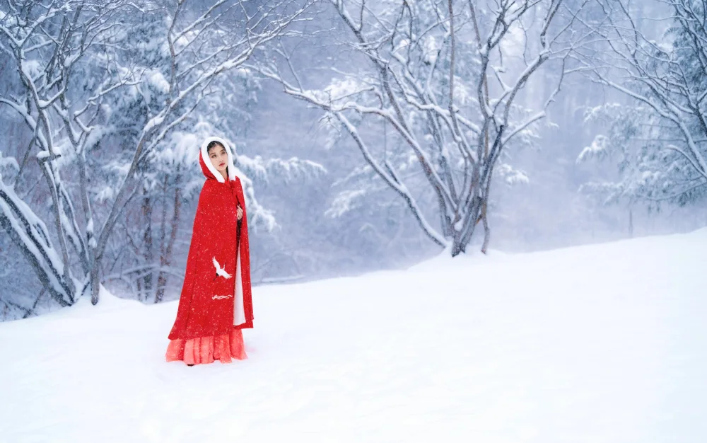 Wang, Catherine: Dans la neige