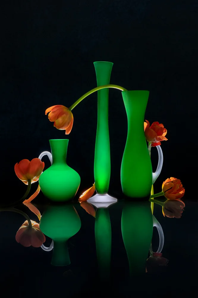 Jacobs, Lydia: Orange Tulpen Freude
