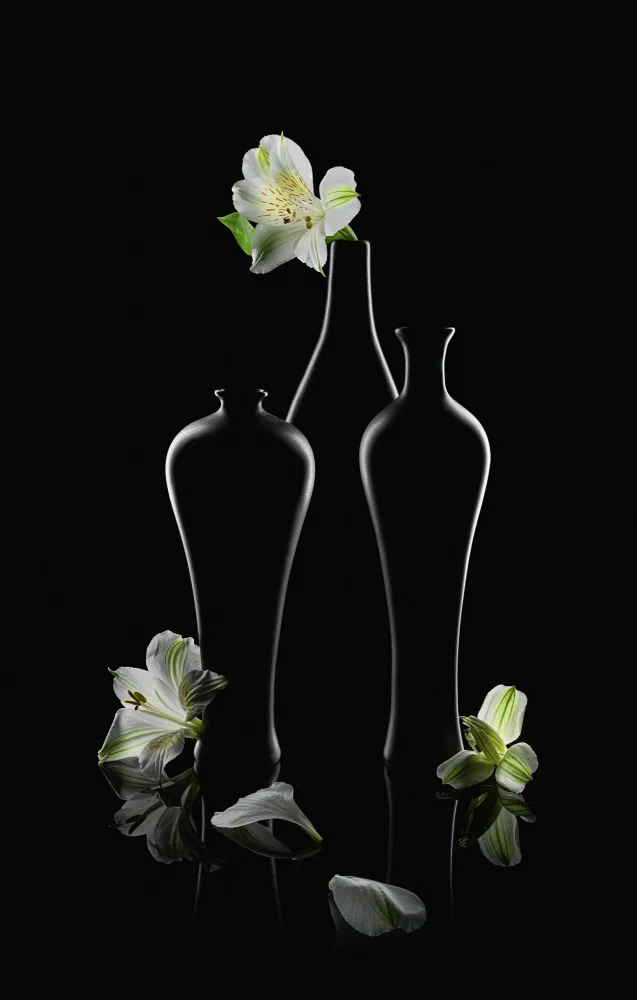 Jacobs, Lydia: Peruvian-lily Melody