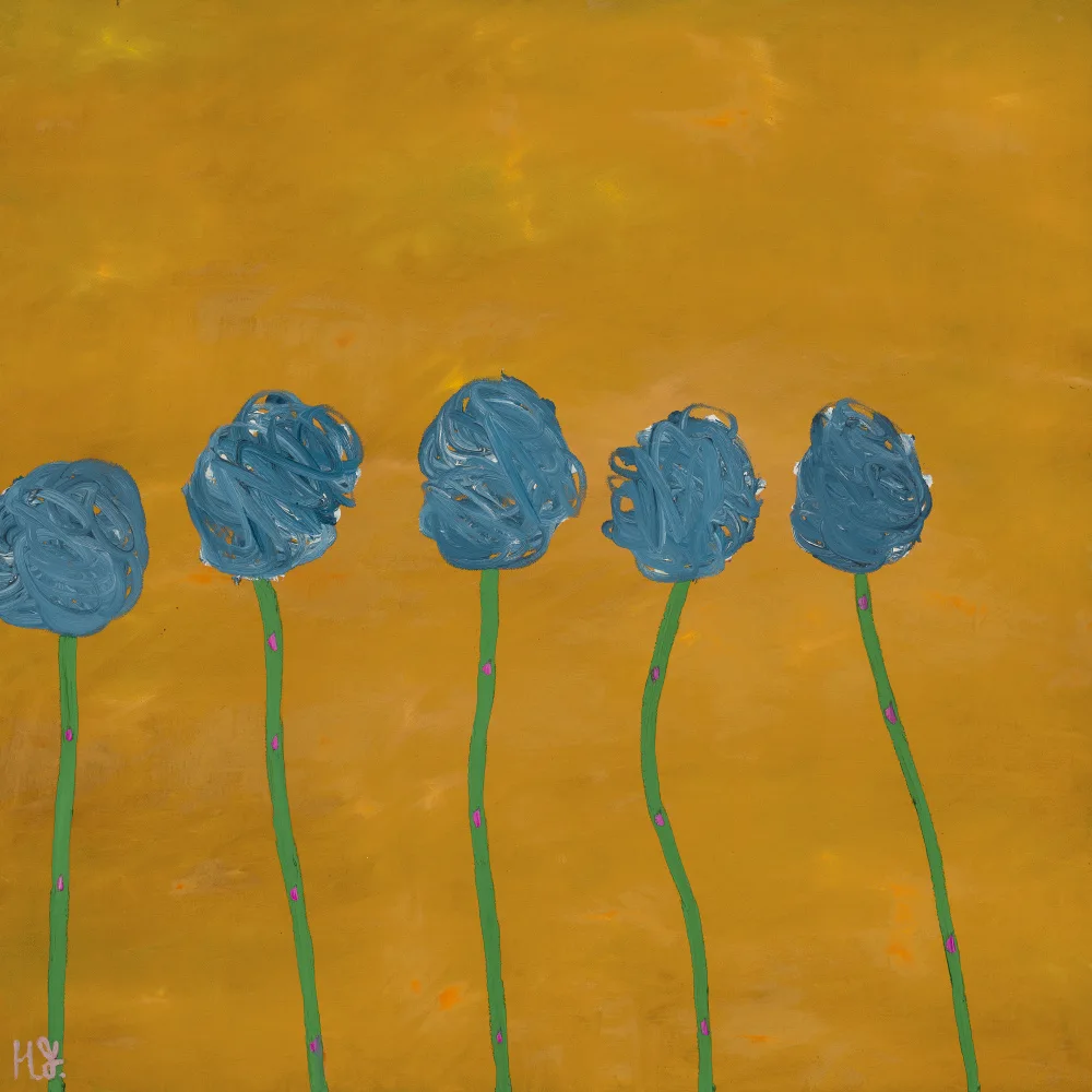 Joynson, Helen: Couleurs d'Oz
