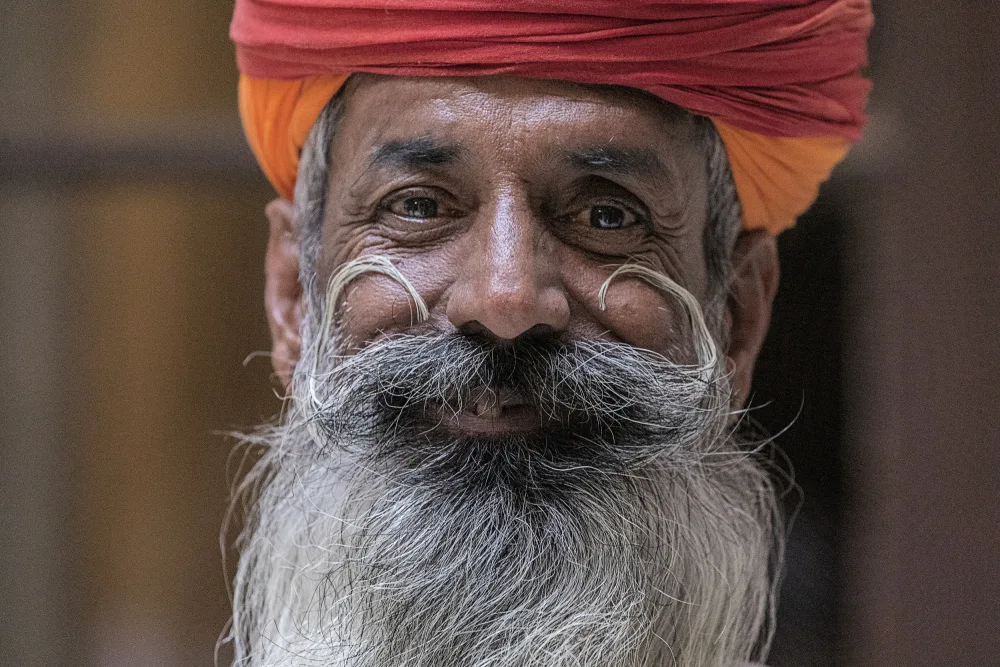 Domont, Jois: The mustache of Jodhpur