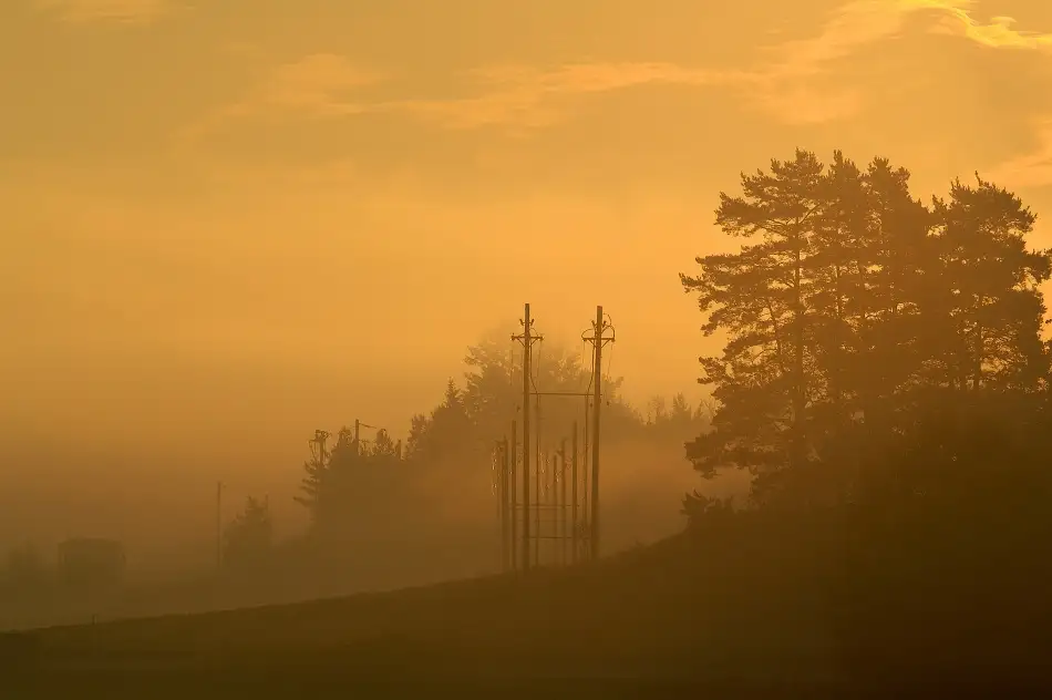 Wallberg, Allan: Ranní mlha.