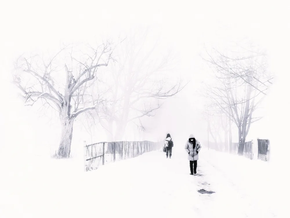 Jasmine: Conditions hivernales
