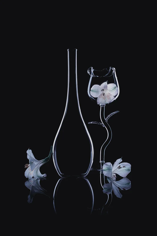 Jacobs, Lydia: Dedicated Peruvian-lily