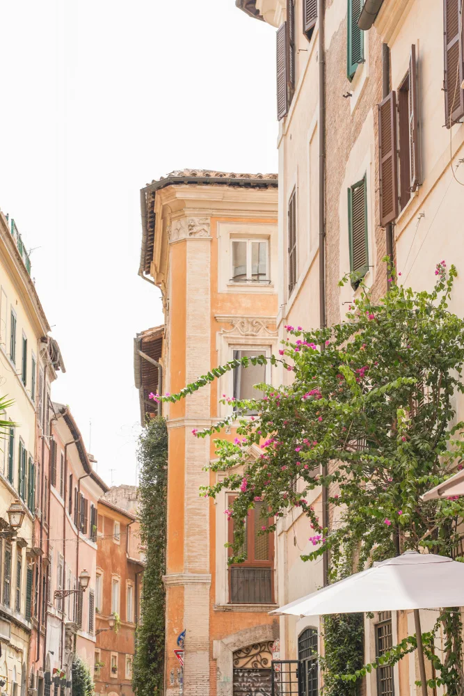 Schenk, Henrike: Streets of Rome