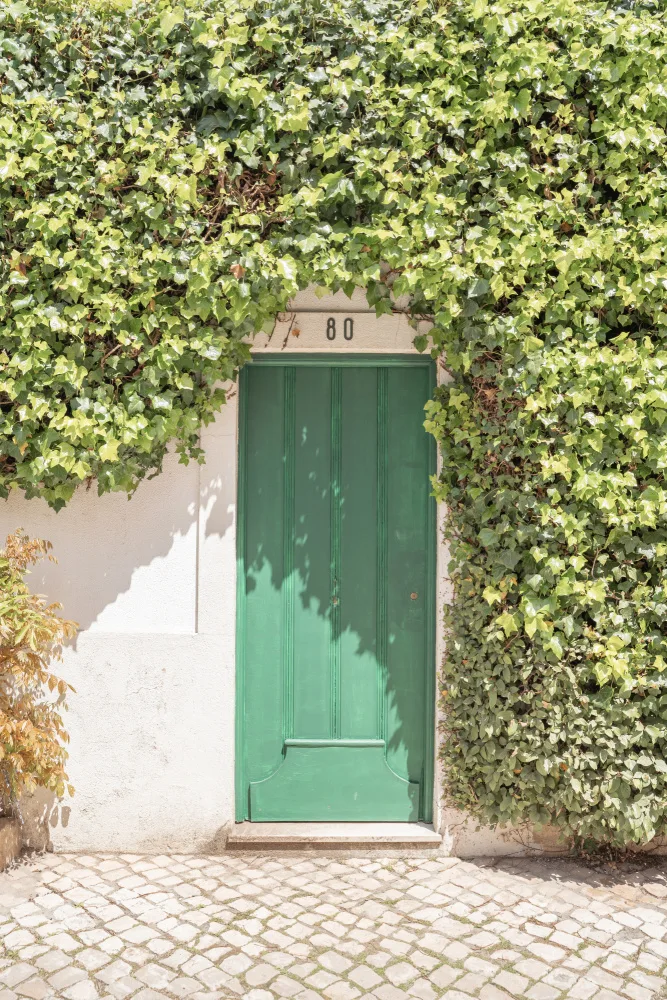 Schenk, Henrike: Ingresso botanico