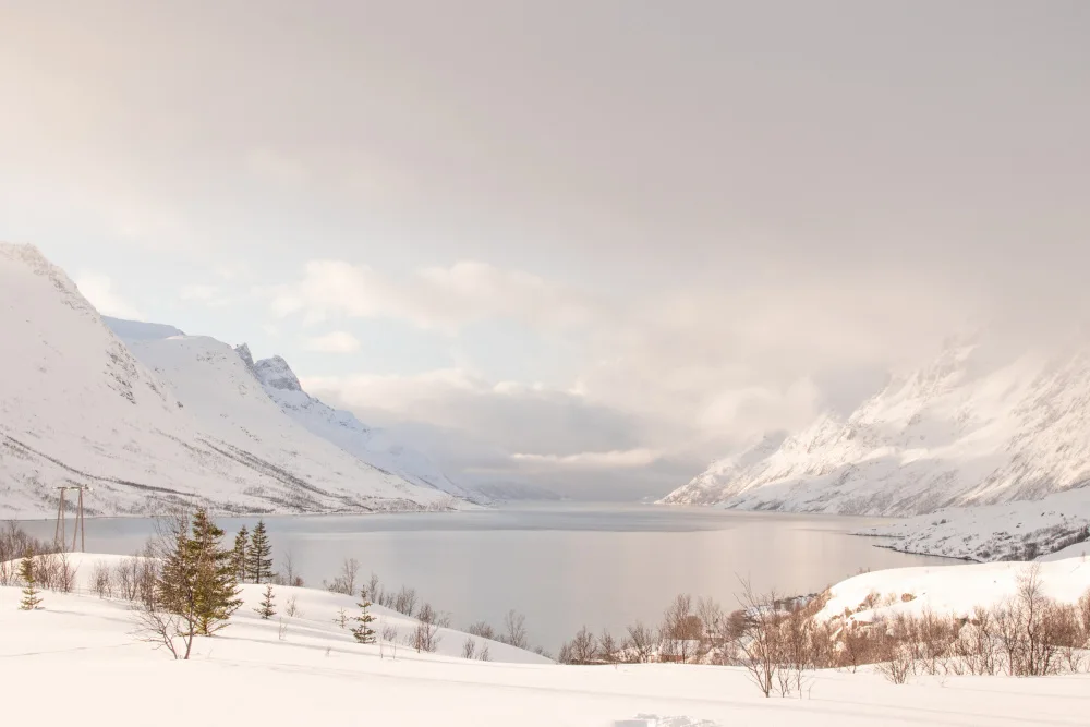 Schenk, Henrike: Magical Norway